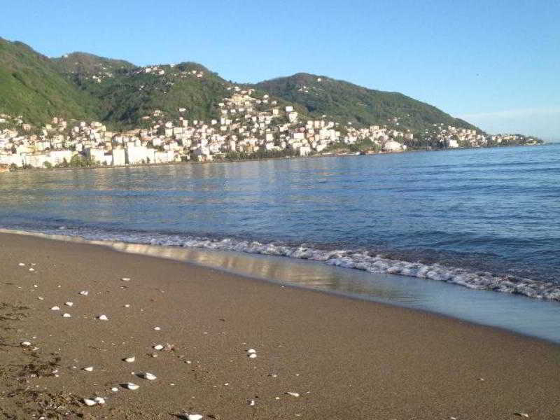 Anemon Kent Ordu Otel Kültér fotó